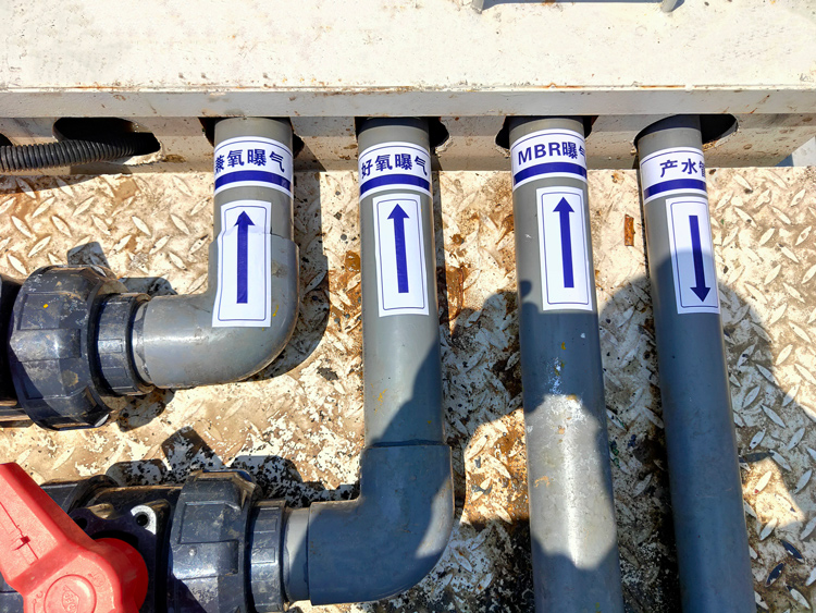 1626401349539154.jpg 06.jpg