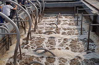 國際一線MBR（膜生物反應(yīng)器）品牌膜是用于水處理領(lǐng)域的高性能膜產(chǎn)品有哪些？